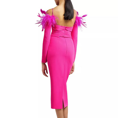 Robe de soirée sexy à bandes de plumes, dos nu, manches longues, robe formelle