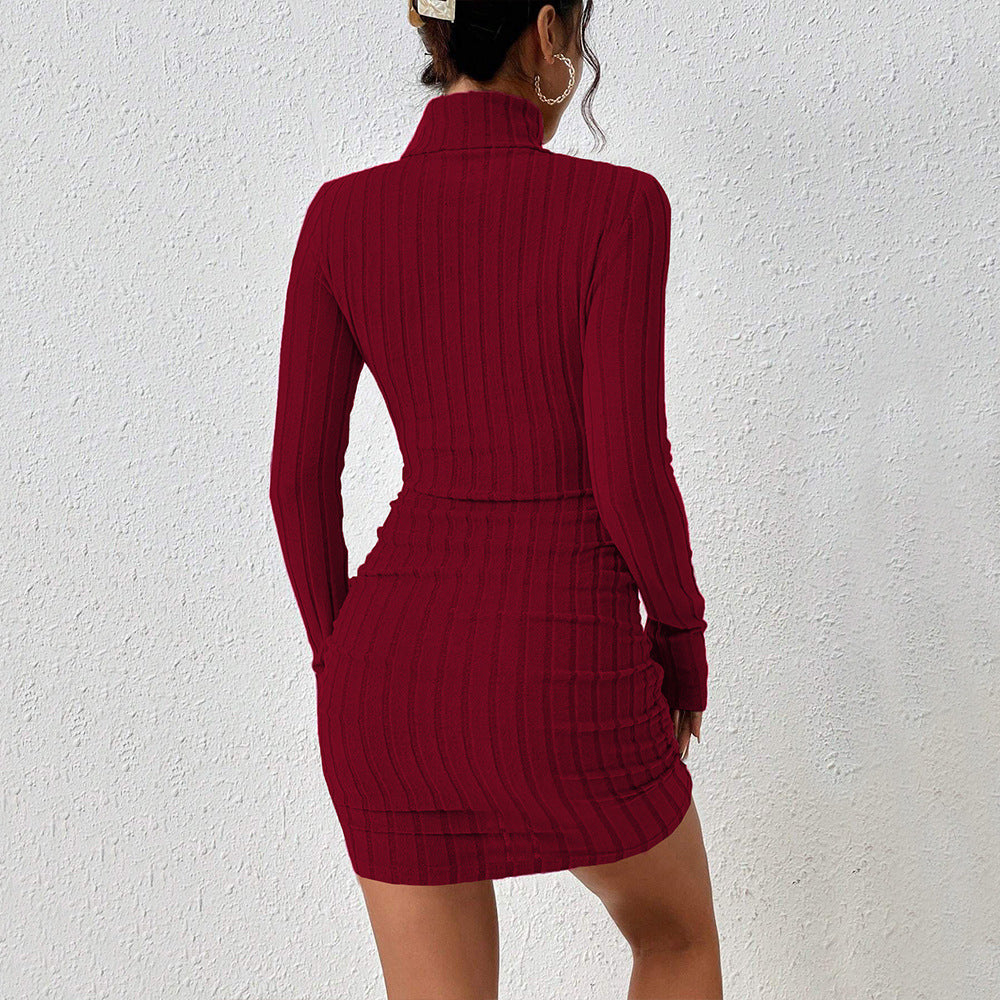 Robe rouge vin pour femmes, vêtements pour adultes, automne hiver, simplicité, col haut, robe courte assortie