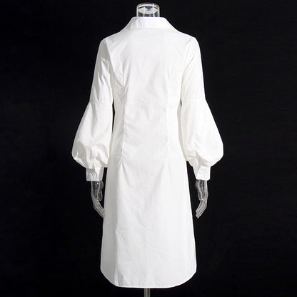 Elegant Shirt Dress Spring Polo Collar Long Sleeve Waist Slimming Dress