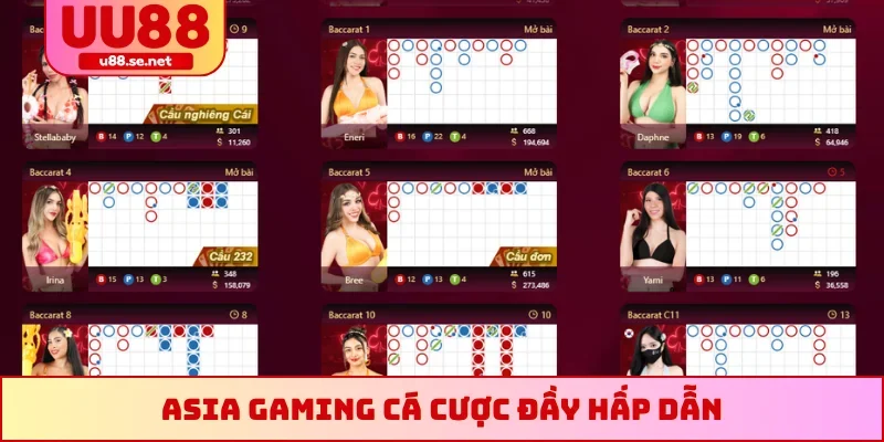 Asia Gaming cá cược đầy hấp dẫn