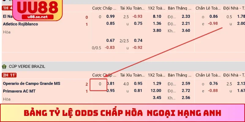 Bảng tỷ lệ odds chấp hòa tại giải đấu Ngoại hạng Anh