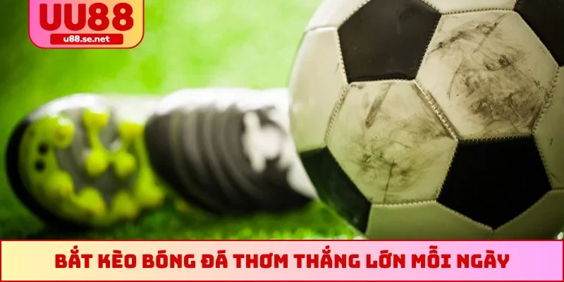 Bắt kèo bóng đá thơm thắng lớn mỗi ngày