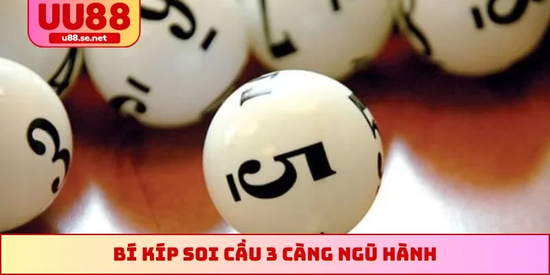 Bí kíp soi cầu 3 càng ngũ hành