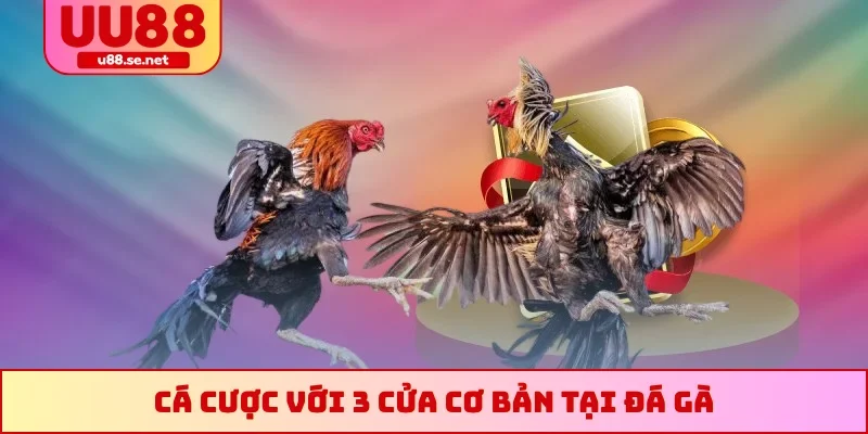 Cá cược với 3 cửa cơ bản tại đá gà