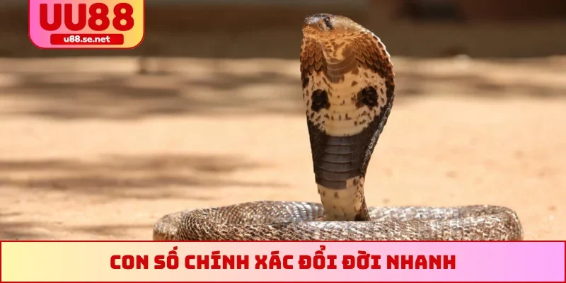 Con số chính xác đổi đời nhanh