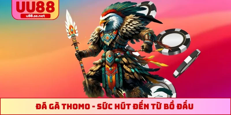 Đá gà Thomo