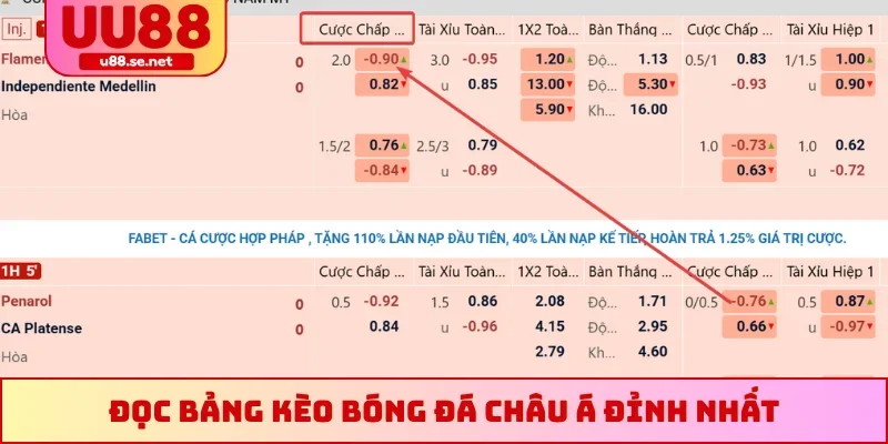 Đọc bảng kèo bóng đá châu Á đỉnh nhất