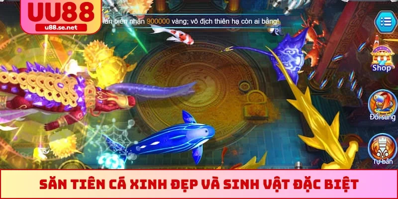 Săn tiên cá xinh đẹp và sinh vật đặc biệt